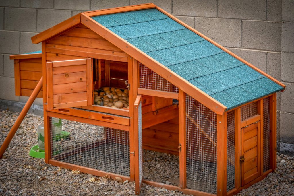 A traditional urban chicken coop for a small flock, with a small run below the roosting space